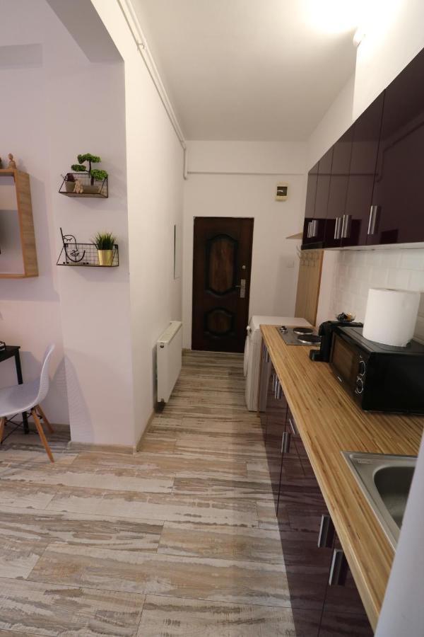 Charming Cozy Studio - Old Town - Free Minibar Apartment Букурещ Екстериор снимка